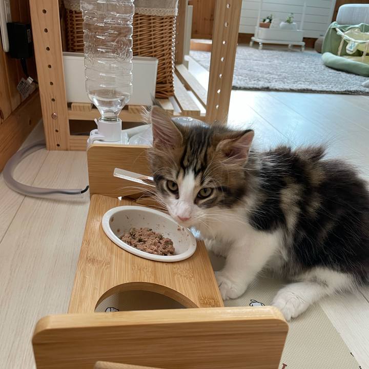 3c48be21 69e6 4a1a 8dbf d08b09ea4d14 1632109967242