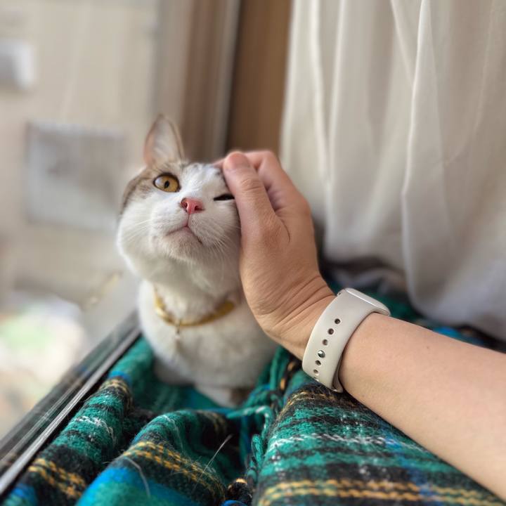 3c48c6ef c7a0 4dbc b8a2 917dc2bc0342 1767057602654