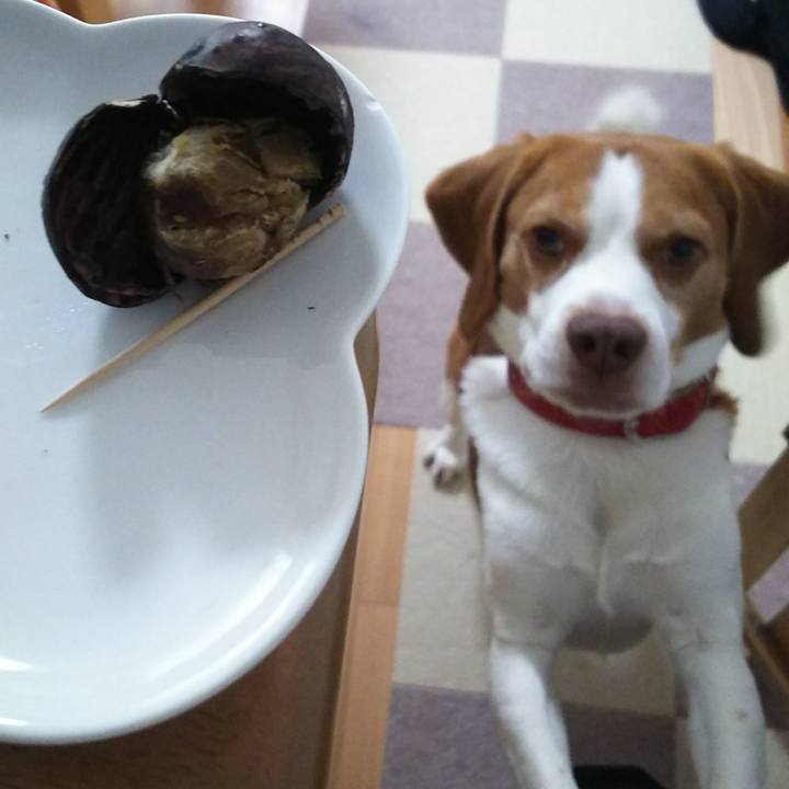 3c490245 c514 4046 b883 b1b3aa87ea7f 1602052644795