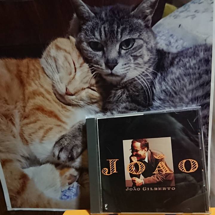 3c49387f b39c 497c 8475 519d4f95a5f6 1615643703206