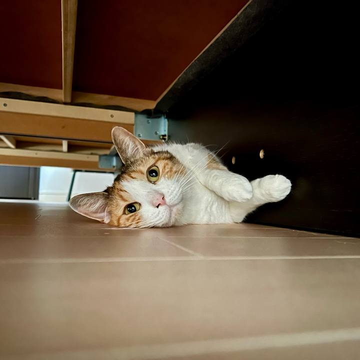 3c494462 dcd1 4ca2 8a52 49526b778d1b 1757476348713