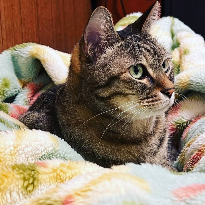 3c494664 9b84 4927 91fa b8dadf1a44f8 1642424936131