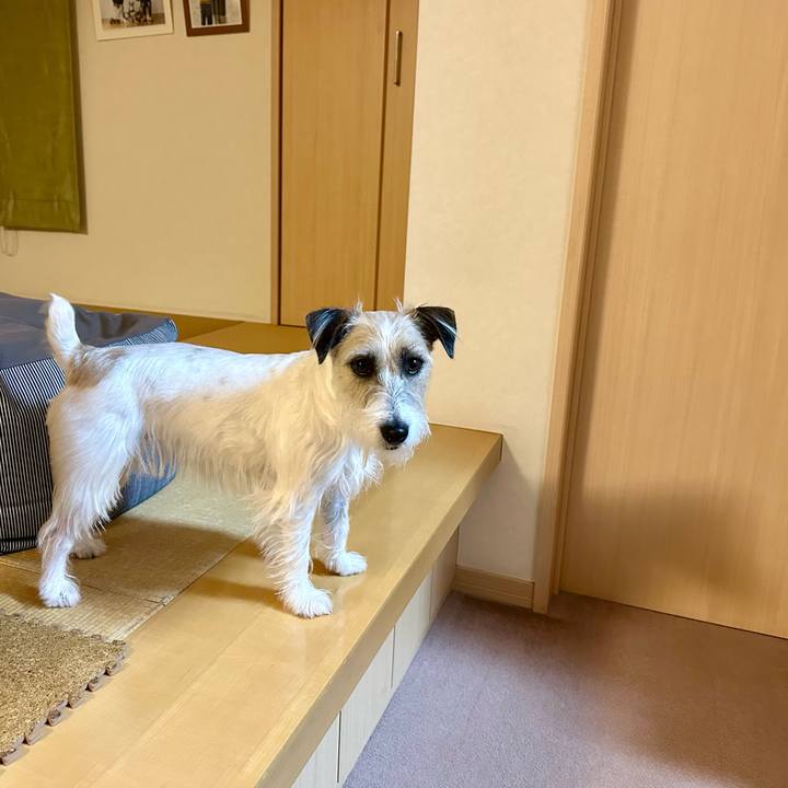 3c494937 4d16 4866 a7d9 dd625a4d6f20 1708869917443