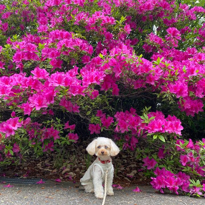 3c497679 edea 48fb b1fb a6bb770b412e 1619230231923