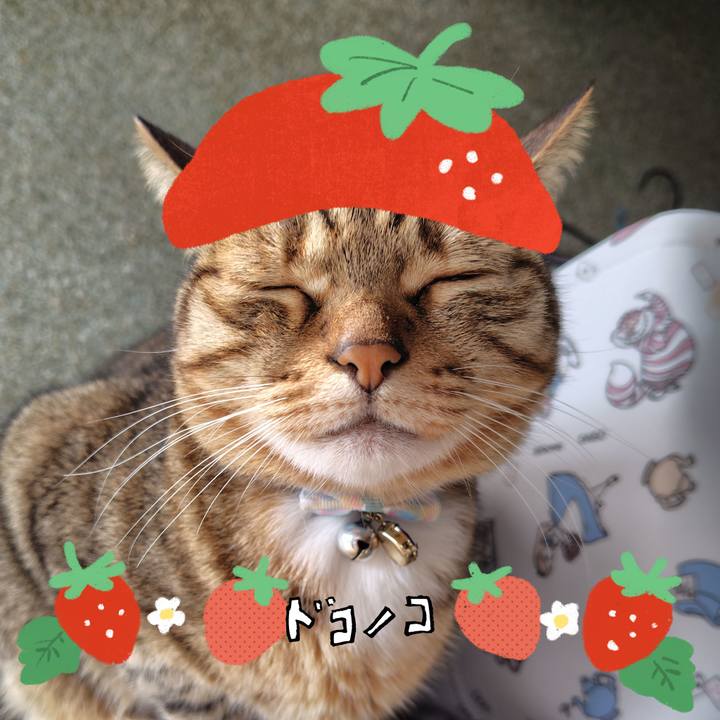 3c497a71 b7b7 4cd1 bc1f fd8fef6d9575 1775350014282