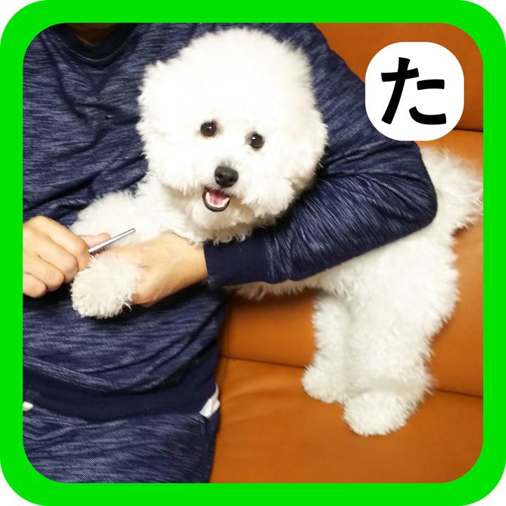 3c497dc9 1ac7 4a2a b127 af01125f053a 1514890319631