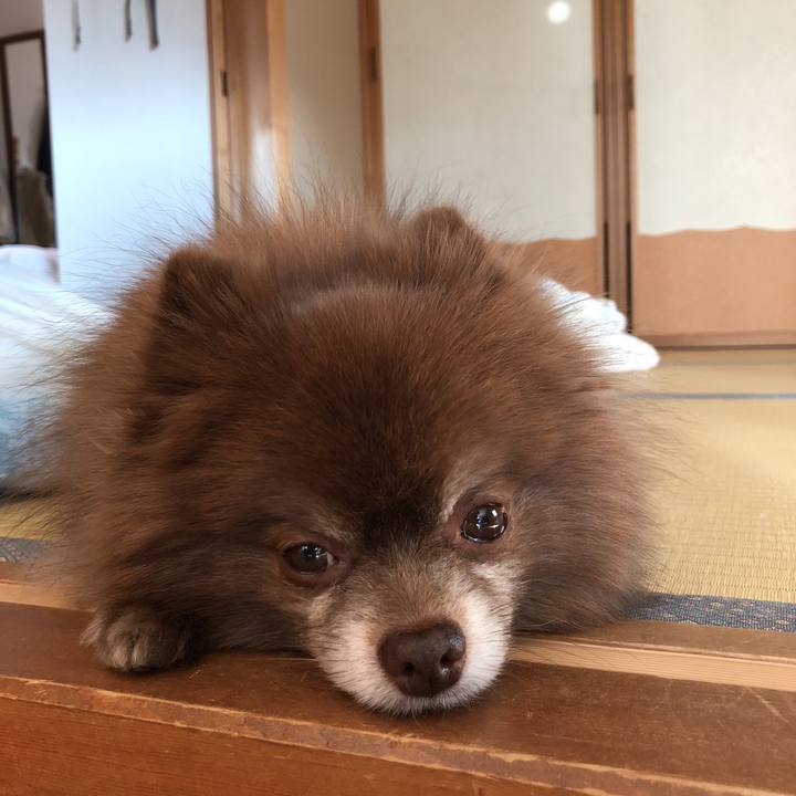 3c49ab4f 1c29 471f 879c 09b45fca82ed 1551592356835