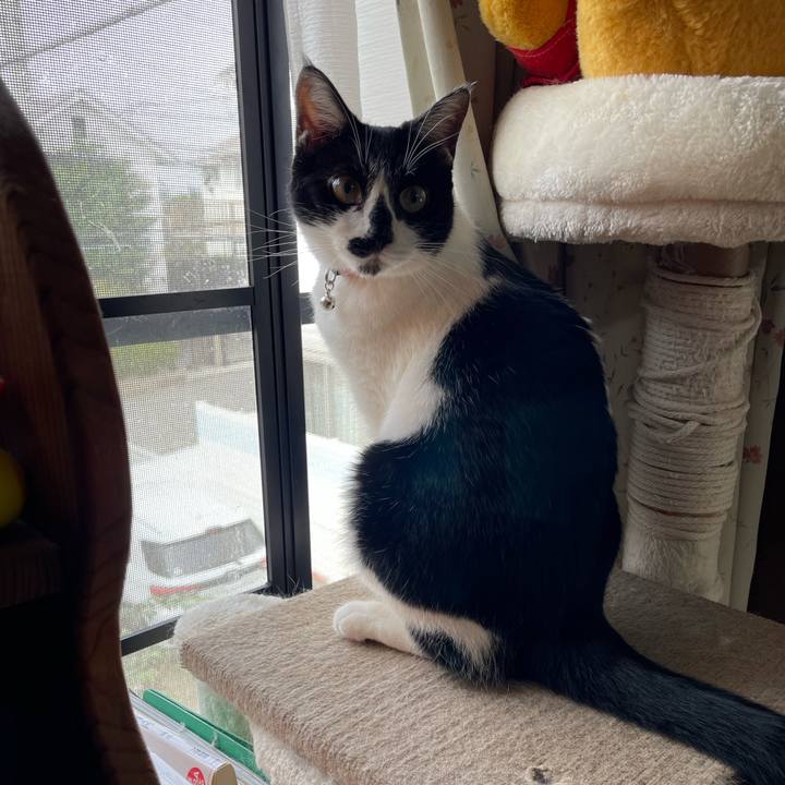 3c49acf7 4bc1 4d45 89fd 8b4337d163f1 1760241216987