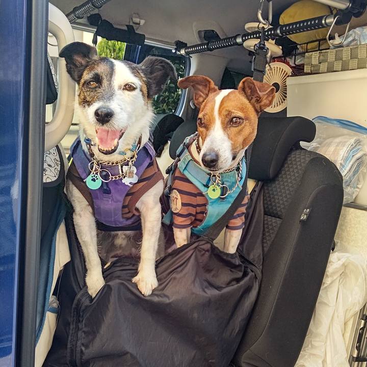 3c49b05c 248f 4866 b9d4 82a3da1266c8 1681116833711