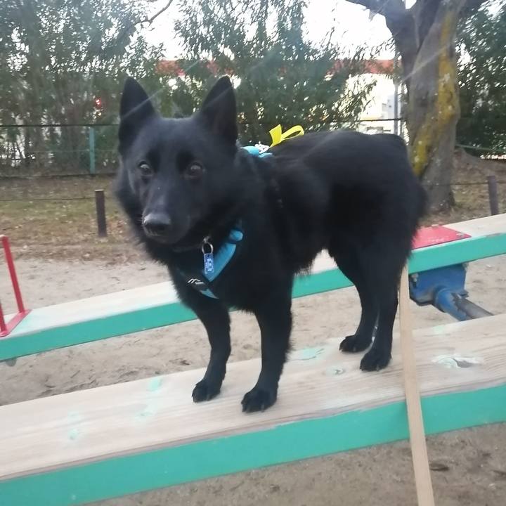 3c49cb2e 22d5 4684 bc95 eaec0e3d024f 1640037097332