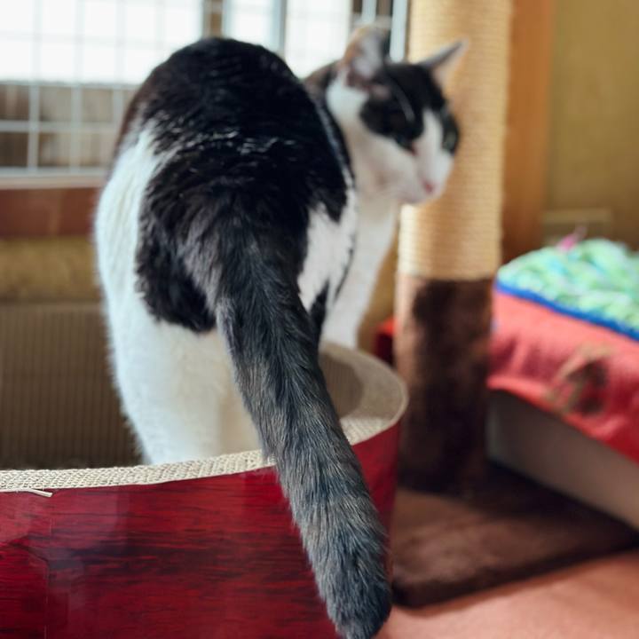 3c4a034e 4bdf 4620 9641 1647df2d7e7e 1686536603513