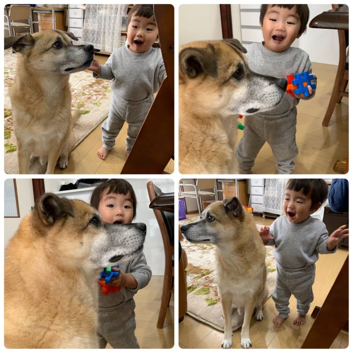 3c4a2c8f 4994 4458 943f 7275ec79cb95 1575122996402