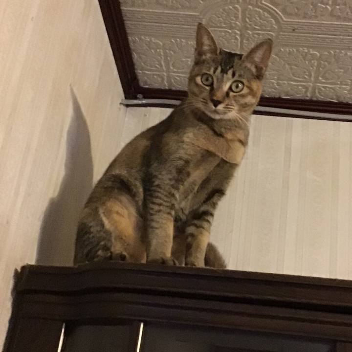 3c4a3532 4be2 4123 861e e0ed1fd4d0b7 1668775219752