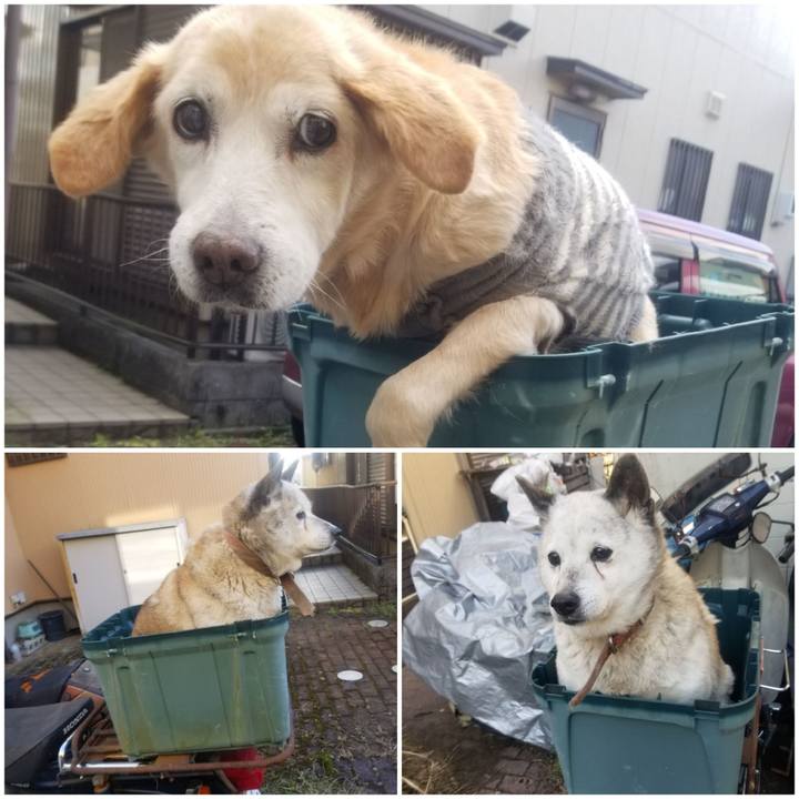 3c4a37a8 2307 44f4 a737 8974bb7596ce 1752924641870