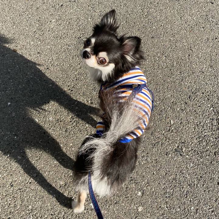 3c4a4a66 0ef6 4da2 9c71 c868c6bc8641 1696085214892