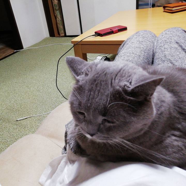 3c4a4e8d cd22 4cc4 84bf 433c3ceb98ff 1735984903909