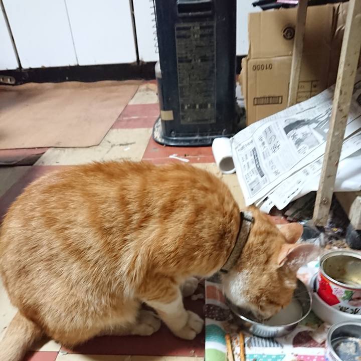 3c4a55a2 a61e 4da6 abbf 211f7a9564db 1591954875895