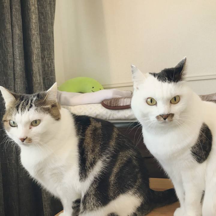 3c4a643b a075 4d2e b58b 1ce1a8e4bd3c 1513133226322