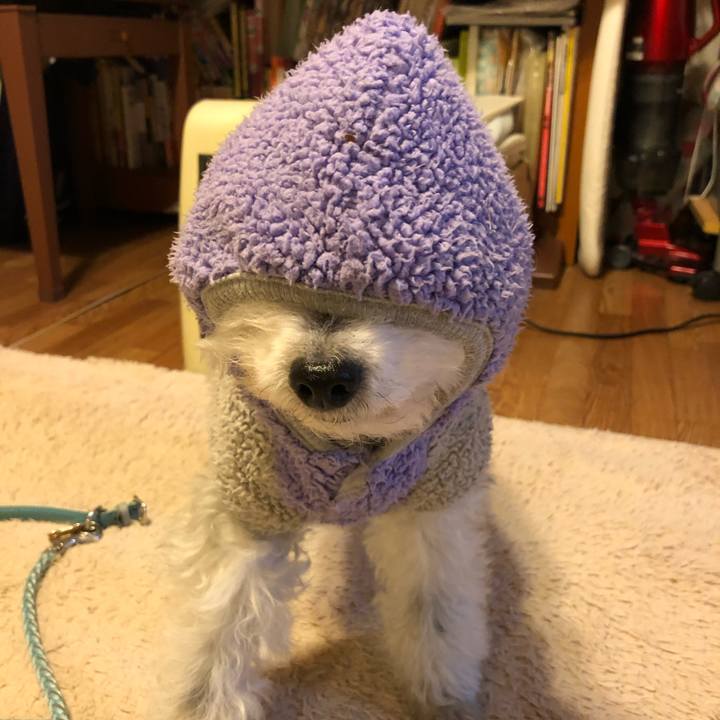 3c4a6de2 3bdb 46e2 929e c1873b8887d1 1773622223258