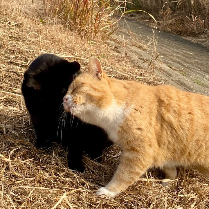 3c4a9bdc ec3d 42f3 9b71 7090279050cb 1774157740145