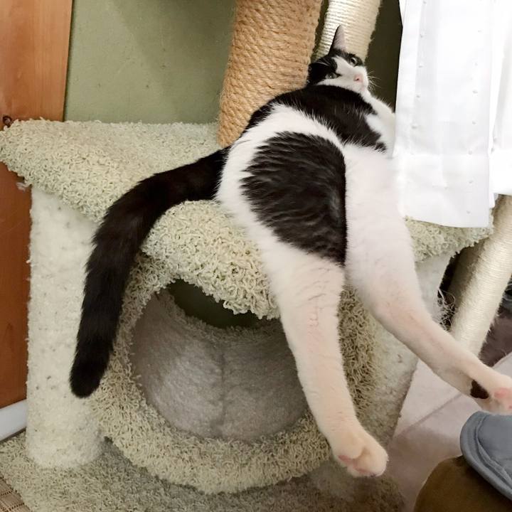 3c4ab713 780a 4bc5 95c7 cf8570226ca1 1535940191719