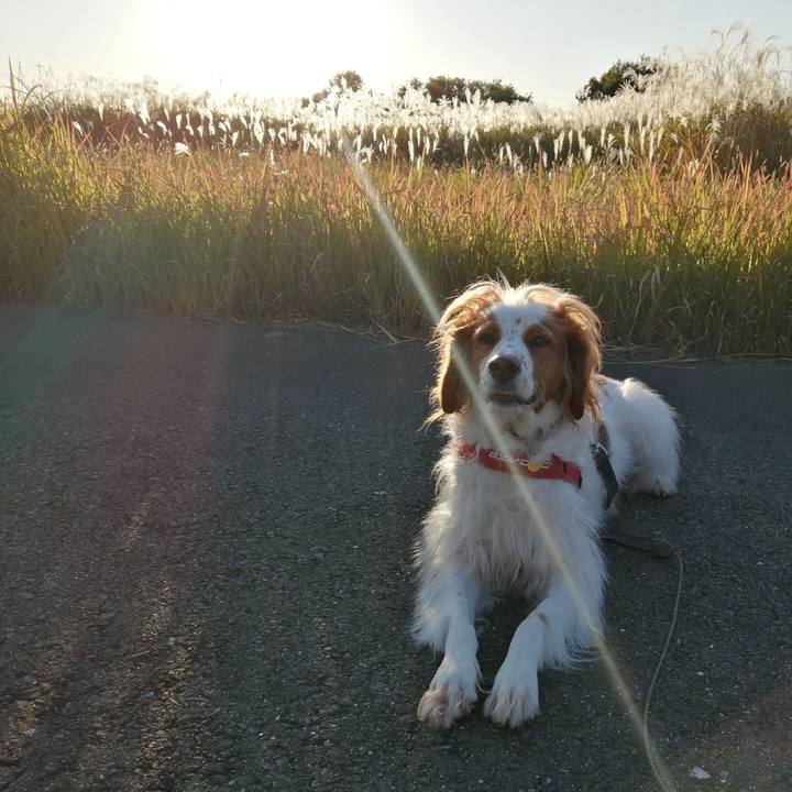 3c4ad8b7 ff3f 4c51 b06b 6360ef827959 1573042583922