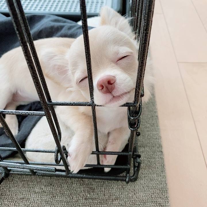 3c4ae336 c66e 4551 809c 604b9ad835b5 1595944812275