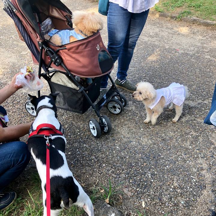 3c4b0627 b4ab 4406 9bdd 152e9fe2ba15 1568611371494