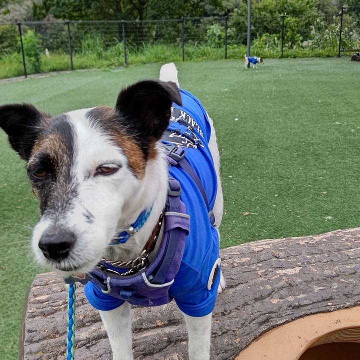 3c4b1572 e30e 4fc2 b79c 411fbb8f3c7b 1663827134900