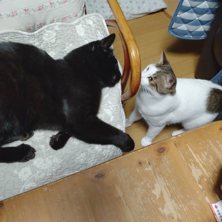 3c4b8721 7667 46c7 9c91 c3c2b931a0d6 1666339606693