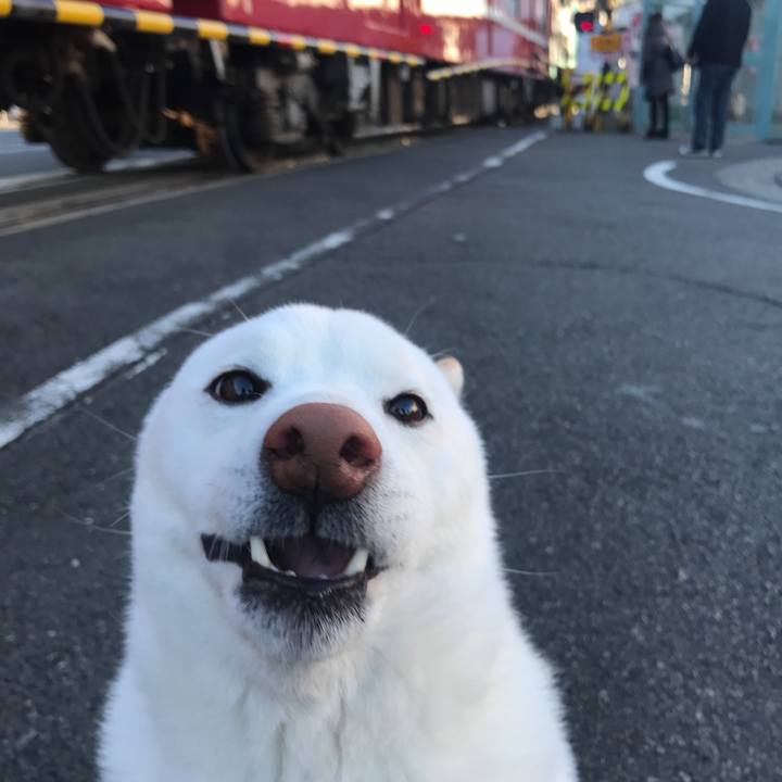 3c4b89d1 8348 47ba 9067 9bed1ddd78c7 1514417811983