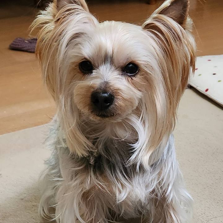 3c4b92ac 9e5a 498b b241 dce00f02f816 1709266084054