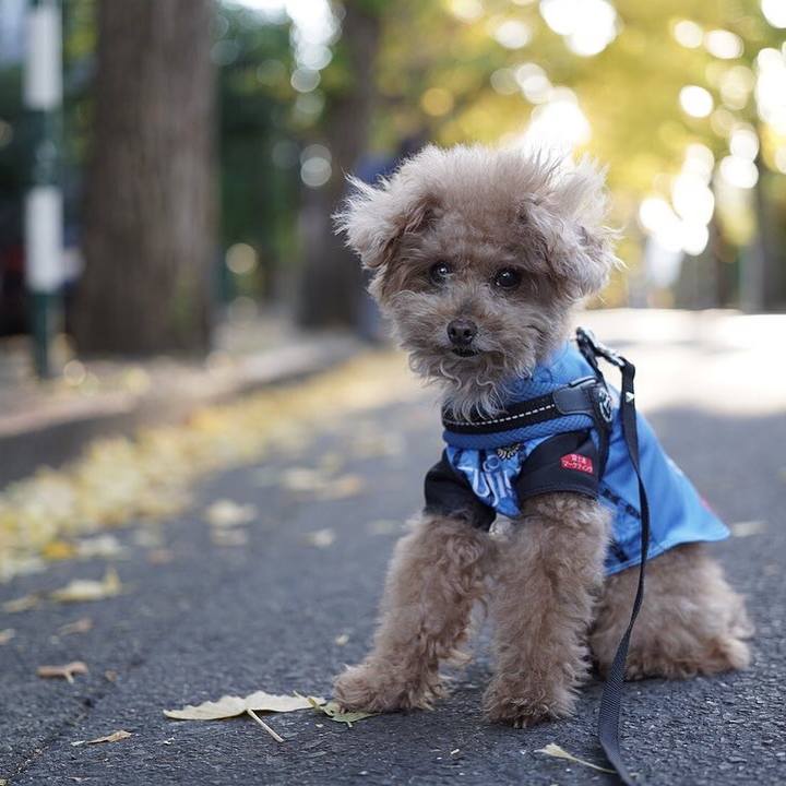 3c4bd786 f18a 4297 b465 b09d261fc434 1669546614350