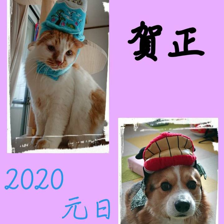 3c4be9ef e8c2 4851 8f3d ede2324f70e7 1577839502313