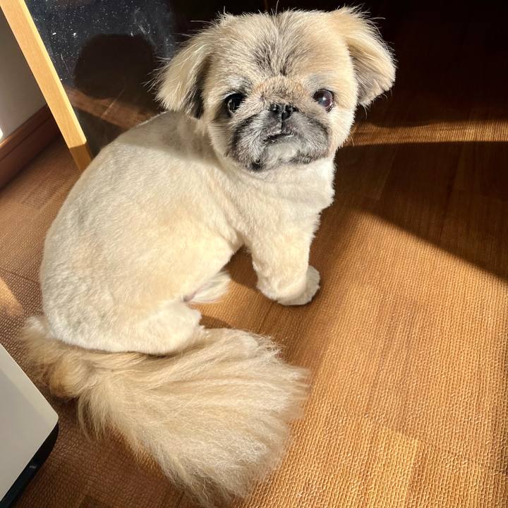 3c4bee38 e730 414c 83bc 88a97cbc9342 1738885639745