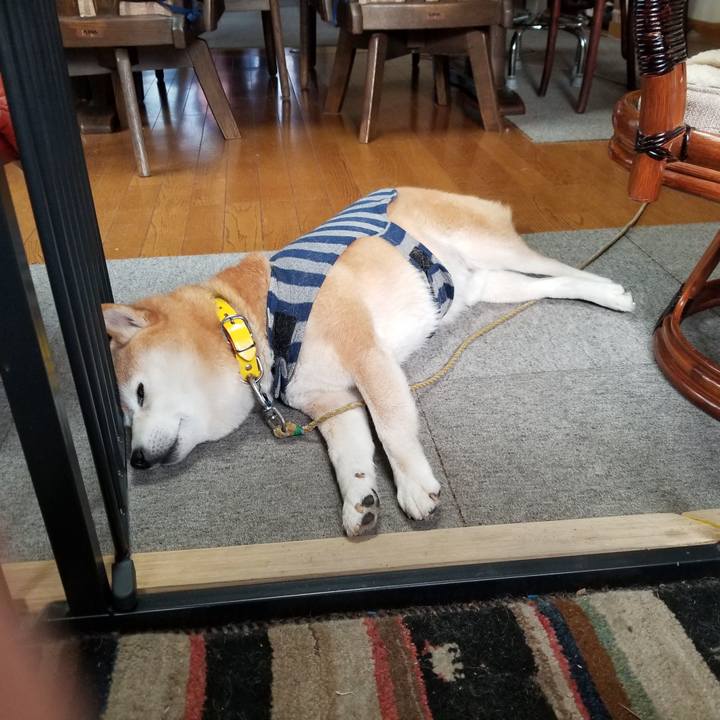 3c4beea2 c563 410f a9d7 6bffd8c41c8d 1673564613802