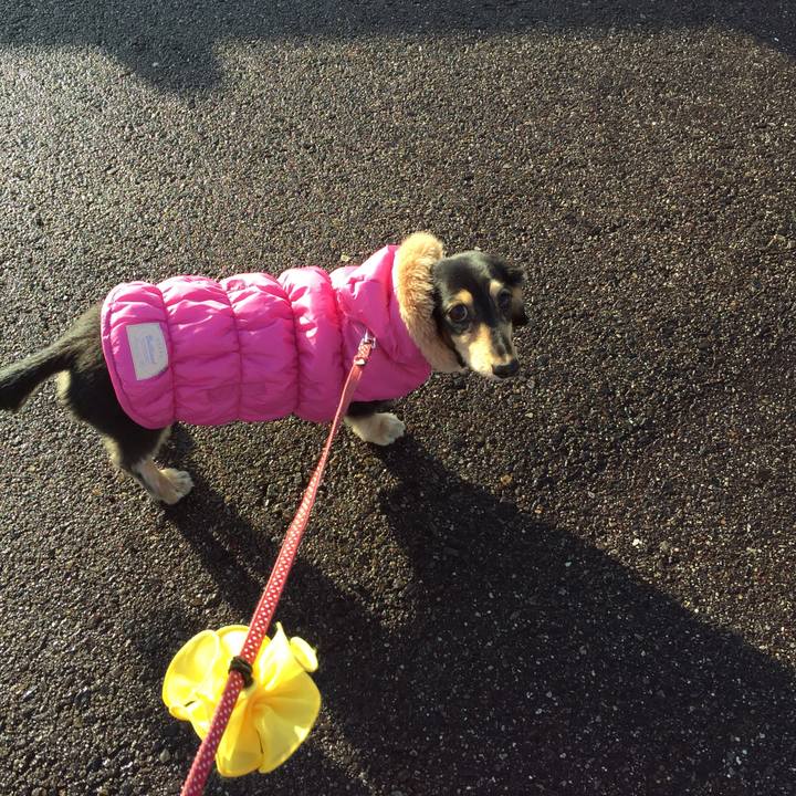 3c4bf715 879c 4293 a9c6 b2cac1cc6d8e 1516234203557