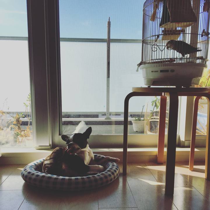 3c4c231c 9b13 4a2a 8e61 c3fdbdf22148 1508726949158