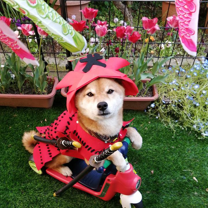 3c4c2410 7df8 4f2b b3a1 0b4246d9999a 1588641948520