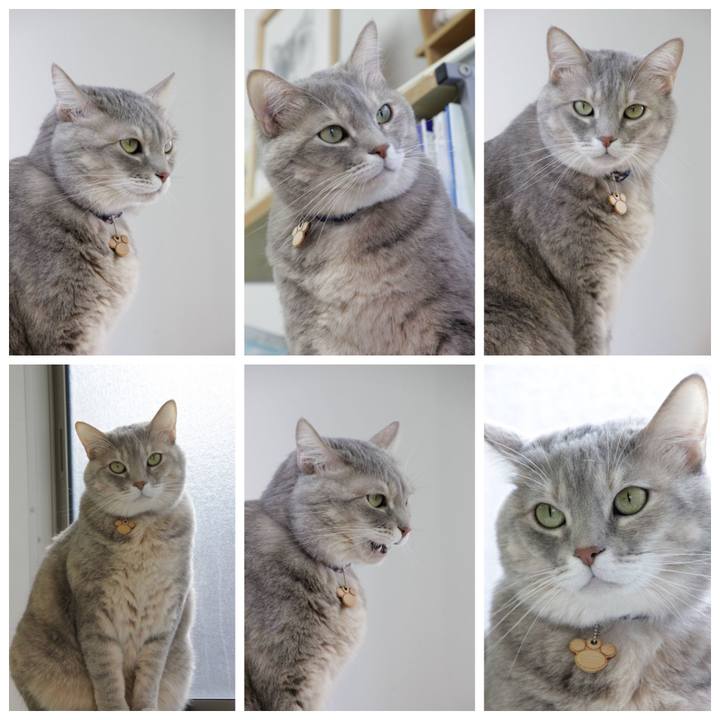 3c4c3a07 9d69 455c 9f19 68a89380b38a 1637990921377