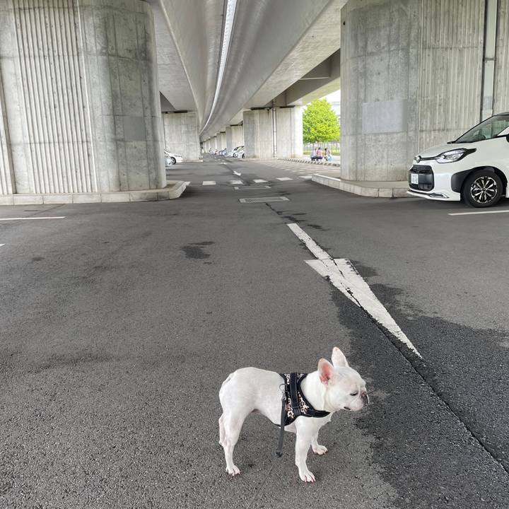 3c4c6048 a52b 4729 84ea 4de6bc74a27e 1728195808132