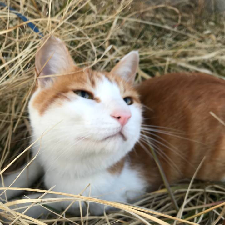 3c4c87ef d7a3 4cda 9047 ee62f5d6222f 1520063546905