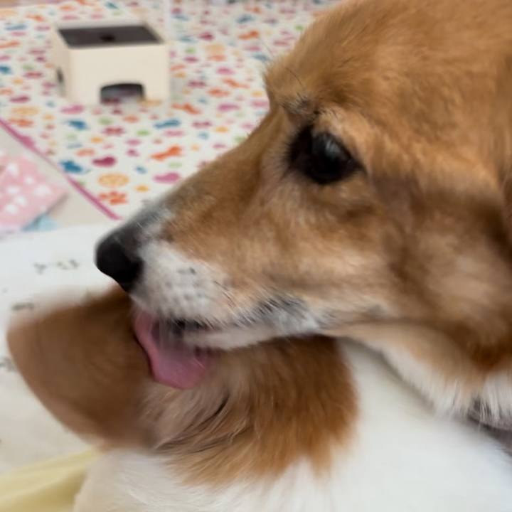 3c4c9b55 280f 4d73 a045 ca082550d64b 1758169538172