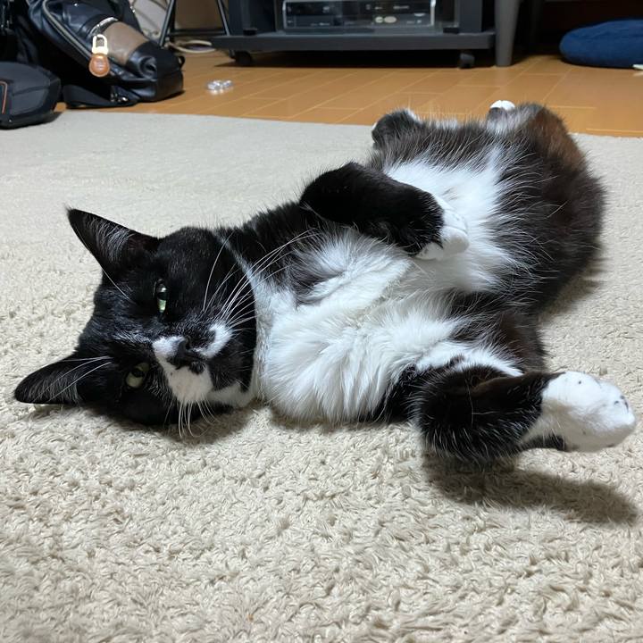 3c4cf272 3cb2 464c 8651 6aad0b8dd40b 1754535341371