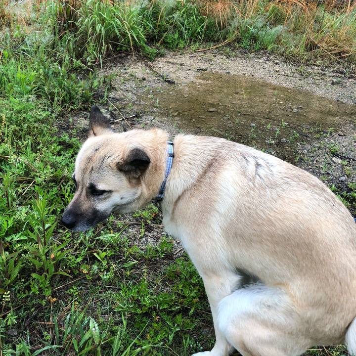 3c4cfea1 f47a 4bf2 bc8f bf5c14de3247 1556628924510