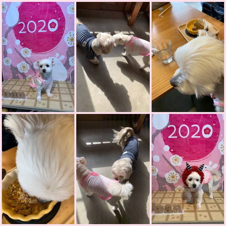 3c4d2a31 dea1 4a40 91aa 83f9c15f0e5f 1579940055502