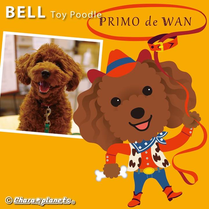 3c4d2aa9 dca8 4f19 841f c9230c2ee154 1555816175812