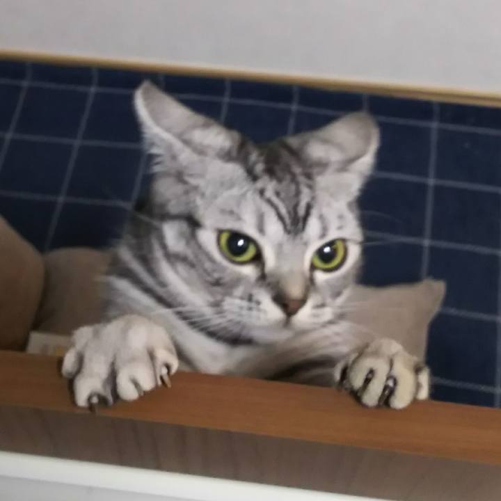 3c4d330a bbee 4afb a39c 16c37652b8f2 1580376590796