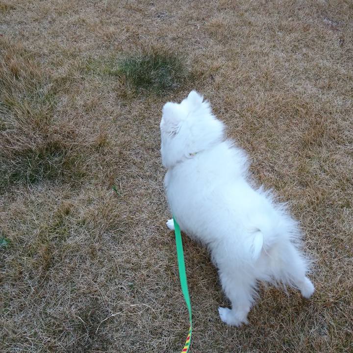 3c4d7b52 680e 4052 bd01 2ba8ad3ce4ca 1548314964485