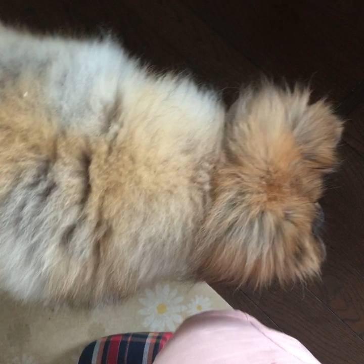 3c4d8c6e 49eb 4ec7 9117 79361dc09b5c 1550136288103